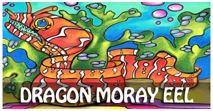 Dragon Moray EEl