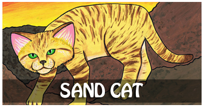 Sand Cat